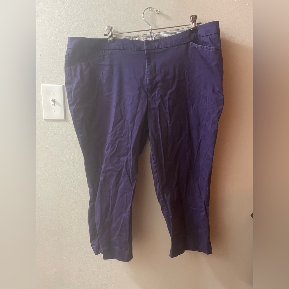 Women’s Coldwater Creek Natural Fit size 18 Purple Capri Pants Tote9